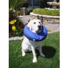 Dr. Pet felfújható gallér L kék