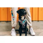 Zee.dog Hám Mesh Plus Ella L