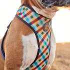 Zee.dog Hám Air Mesh Phantom L