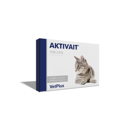 Aktivait Cat