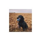 Beco Labda kötélen S Kék