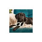 Beco Strapabíró húzogatós gumis játék -
Zöld