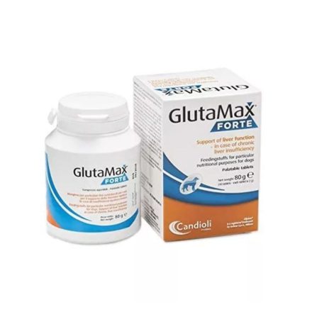 Glutamax forte 40x