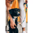 Zee.dog Nyakörv Ella L
