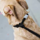 Zee.dog Slip'n'Lock leash Retriever póráz Gotham