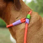 Zee.dog Slip'n'Lock leash Retriever póráz Everest