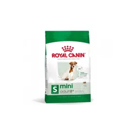 RC Adult 8+ Mini 2kg