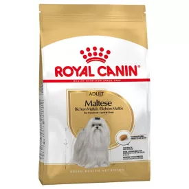 RC Maltese Adult 1,5kg