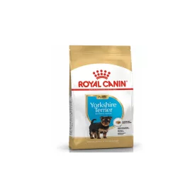 RC Yorkshire Terrier Puppy 1,5kg
