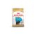 RC Yorkshire Terrier Puppy 1,5kg