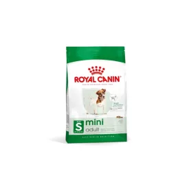 RC Adult Mini 800g 