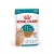 RC Ageing cat 11+ alutasakos 85g