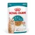 RC Ageing cat 15+ alutasakos 85g