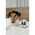 Meliora CBD olaj kutyáknak 6% 600 mg 10ml